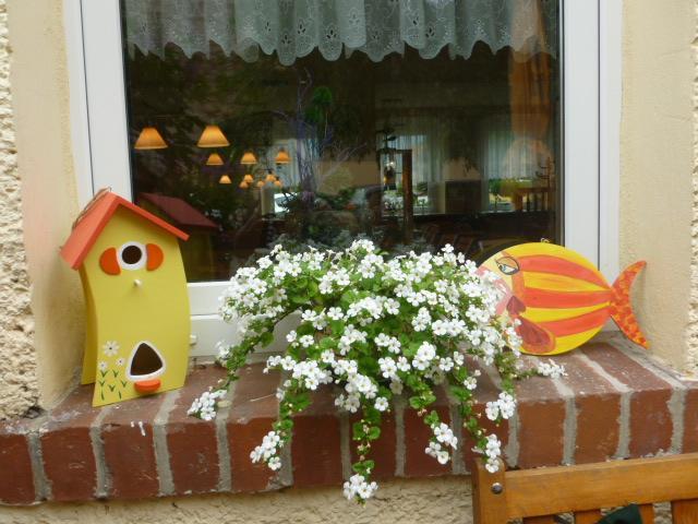 Gasthaus Forelle 탈레 외부 사진
